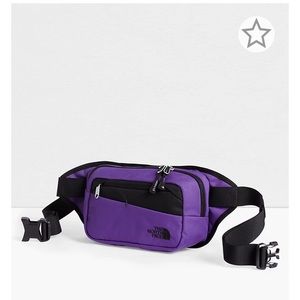 The NorthFace Purple Fannypack
